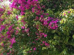 -月亮眼花园餐厅书吧酒吧