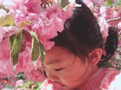 -石家庄市植物园