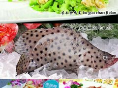 -老韩家清真食府
