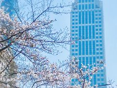 -西北湖绿化广场