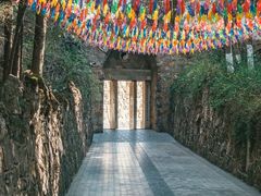 -彩色沙林风景区