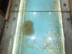 -芝麻花餐厅(祁家豁子店)