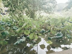 -韶山毛泽东同志故居