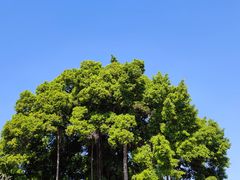 -潮州古城