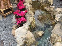 -伴山茶苑·围炉煮茶