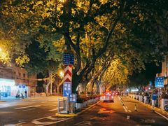 -上海交通大学医学院附属瑞金医院(总院)