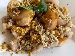 -百利鸽王(紫薇路店)