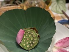 -叶叶菩提(太原别墅店)