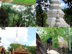 -西双版纳傣族园