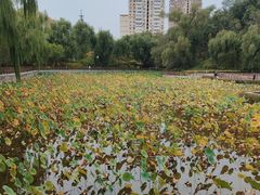 -迎泽公园
