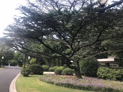 -西郊宾馆·1921餐厅