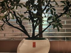 -海底捞火锅(高科广场店)