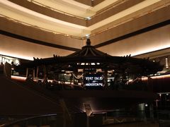 -新加坡文华东方酒店