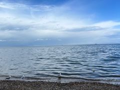 -撒拉人家.酸菜牦牛肉火锅