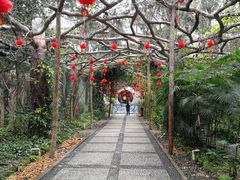 -广西壮族自治区药用植物园