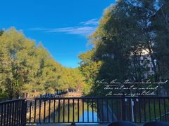 -洛阳白云山景区