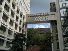 -香港大学