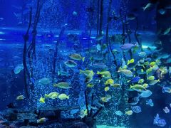 -沈阳海洋探索中心