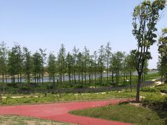 -春花秋色城市公园