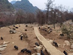 -九皇山景区