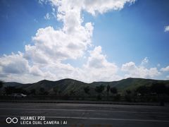 -午后庭院
