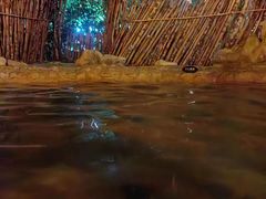 -深业半汤御泉庄温泉