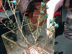 -碧特博格·20年品牌西餐厅(芜湖路店)