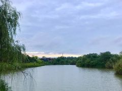 -白鹭湾湿地公园