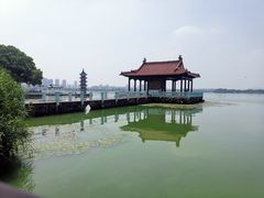 -无锡蠡湖国家湿地公园-蠡园