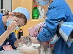 -联合动物医院(光谷诊疗中心)
