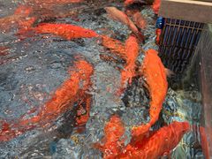 -顺风山庄(水濂山店)