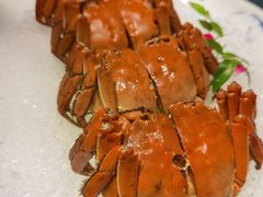 花雕醉熟蟹-蟹榭·莳鲜(虹桥高岛屋店)