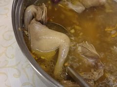 -百利鸽王(紫薇路店)