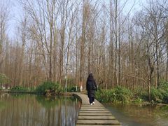 -桤木河湿地公园