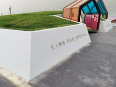 -荷兰花海