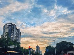 -天下粮仓(解放东路店)