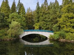 -东平国家森林公园