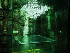 -青岛葡萄酒博物馆