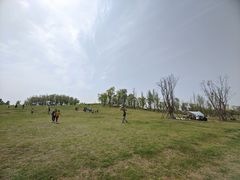 -白鹭湾湿地公园