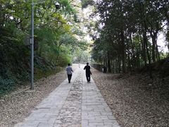 -上海佘山国家森林公园西佘山园