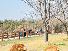 -良渚古城遗址公园