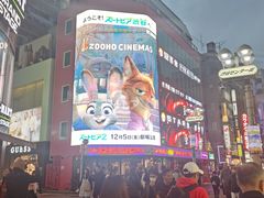 -涩谷区