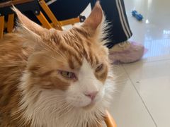 -平行世界·猫咖(首经贸店)