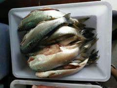 -老村长家宴(茨坪景区店)