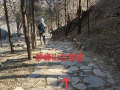 -大觉寺-停车场