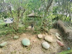 -常州淹城野生动物世界