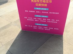 -秀丽东方