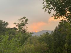 -北京西山国家森林公园