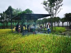 -洪湖家庭农场·团建·露营·会议