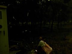-动邦皮划艇·桨板·独木舟·团建户外运动俱乐部
